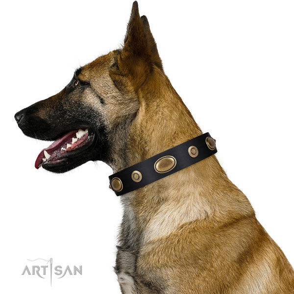 Comfortable wearing dog collar of genuine leather with impressive studs