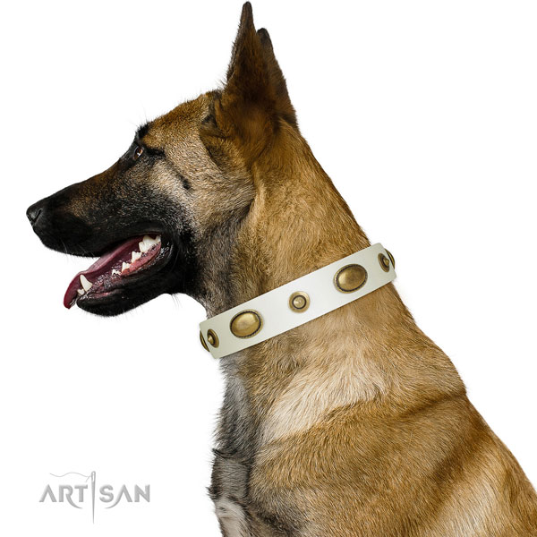 Everyday use dog collar of genuine leather with stylish decorations