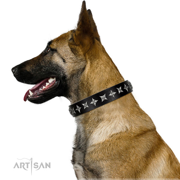 Basic training decorated dog collar of durable genuine leather