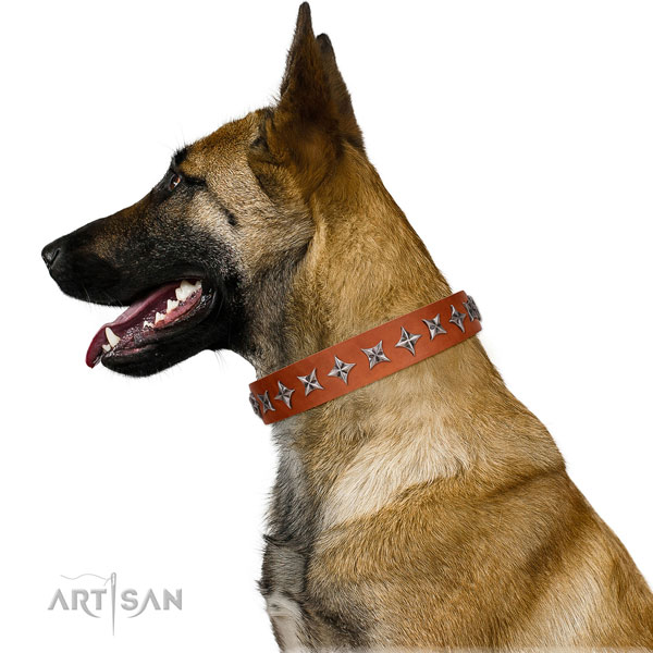 Top notch leather dog collar with stylish design decorations