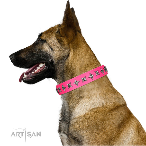 High quality full grain natural leather dog collar with trendy adornments