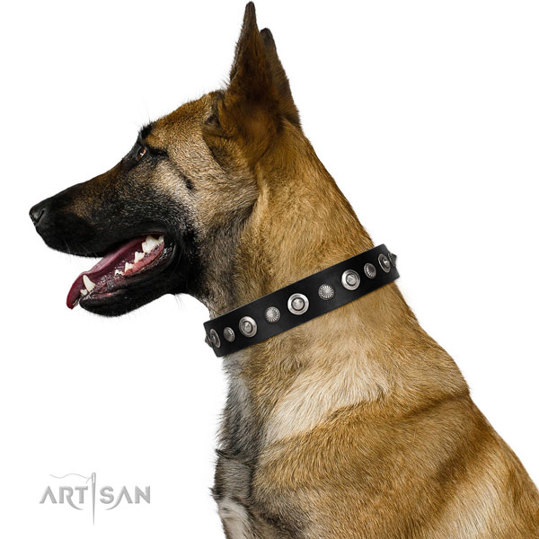 Finest quality full grain genuine leather dog collar with exquisite adornments