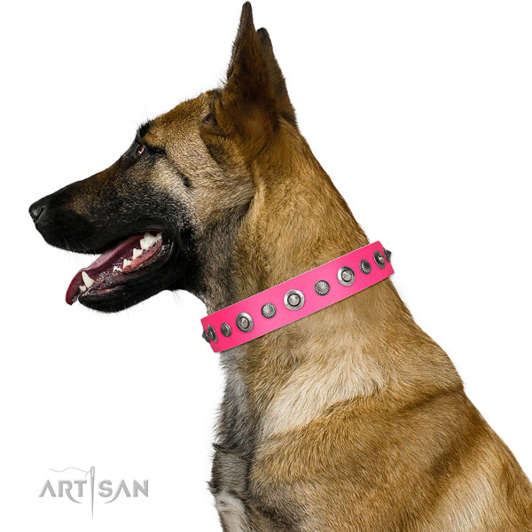 Full grain genuine leather collar with rust resistant traditional buckle for your lovely canine