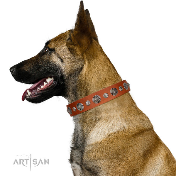 Best quality full grain genuine leather dog collar with rust resistant traditional buckle