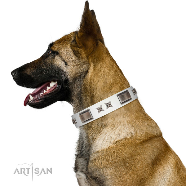 Exquisite collar of natural leather for your handsome four-legged friend