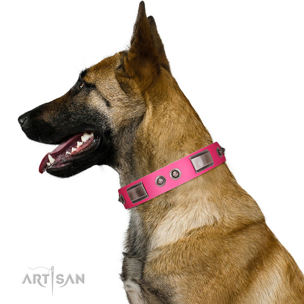 Exceptional full grain leather dog collar with adornments