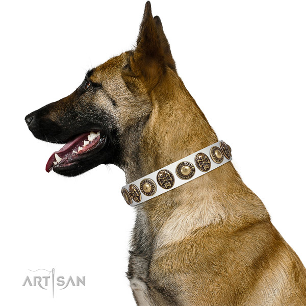 Easy wearing full grain natural leather collar for your impressive doggie