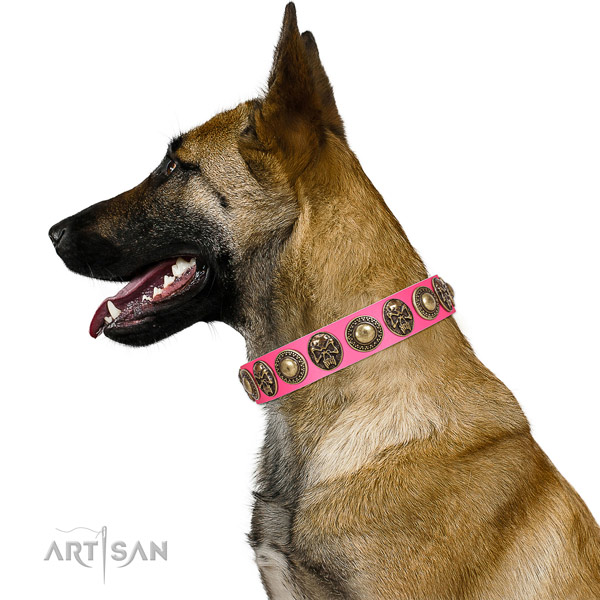 Impressive genuine leather collar for your lovely canine