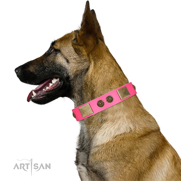 Adjustable dog collar made for your handsome four-legged friend