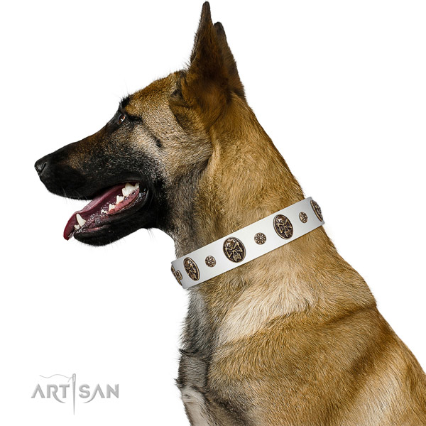 Everyday walking dog collar of natural leather with trendy decorations