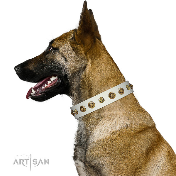 Soft to touch natural leather dog collar with adornments for your canine