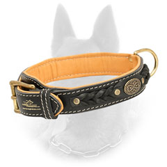 Nappa Padded Leather Belgian Malinois Collar with Braided Decorations