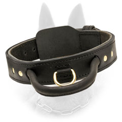 Leather Belgian Malinois Collar With  Handle Riveted to Hold Forever