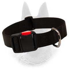 Belgian Malinois Comfy Training Nylon Dog Collar With Quick Release Buckle
