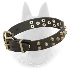 Adjustable Leather Belgian Malinois Collar