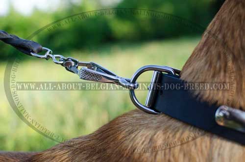 Belgian Malinois Leather Collar with Strong D-Ring for  Reliable Dog Control