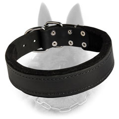 Leather Belgian Malinois Dog Collar With Strong Nickel  Covered Fittings