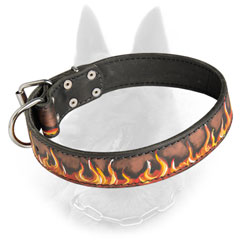 Reliable Leather Belgian Malinois Dog Collar With  Nickel Fittings And Hand Stitching