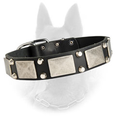 Fantastic Leather Belgian Malinois Dog Collar With  Nickel Plates And 2 Pyramids Between Them