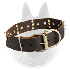 Exclusive Design Leather Belgian Malinois Dog Collar  With Nickel Covered Hardware And Brass Plates