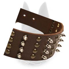 Reliable Leather Belgian Malinois Dog Collar With Brass  Studs And Nickel Spikes