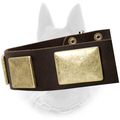 Genuine Leather Belgian Malinois Dog Collar With Brass  Plates And Nickel Hardware