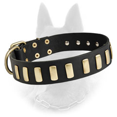 Riveted Leather Belgian Malinois Dog Collar Decorated  With Plates