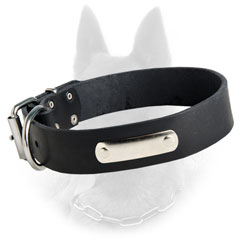 Belgian Malinois Leather Dog Collar Equipped with ID  Tag