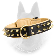 Belgian Malinois Nappa Padded Leather Dog Collar with  Strong D-Ring and 2 Rows of Spikes