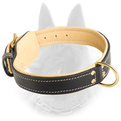 Belgian Malinois Nappa Padded Leather Dog Collar with  Strong D-Ring and Fur Saver Leather Plate