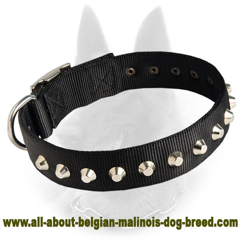 malinois collar nylon dog belgian pyramids ply nickle riveted