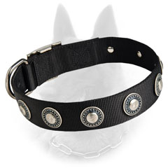 Belgian Malinois Nylon Dog Collar Decorated with Nickel Circles