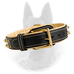 Belgian Malinois Padded Leather Dog Collar with Brass  Hardware