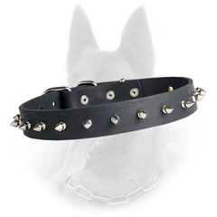 Belgian Malinois Spiked Leather Dog Collar with Row of  Silver Spikes