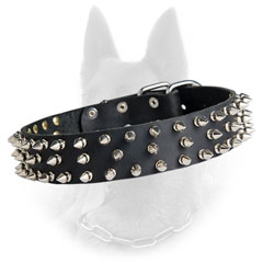Belgian Malinois Spiked Leather Dog Collar with Three  Lines of Silver Spikes