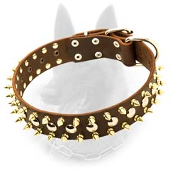 Belgian Malinois Spiked Leather Dog Collar with Two  Lines of Brass Spikes and One Line of Nickel Studs