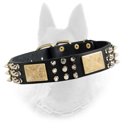 Belgian Malinois Spiked Leather Dog Collar Decorated with Massive Old Brass Plates and Nickel Pyramids