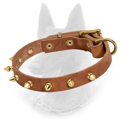 Belgian Malinois Spiked Leather Dog Collar with Three Rivets near Buckle