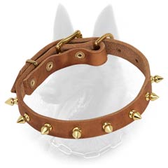 Belgian Malinois Spiked Leather Dog Collar with One Row of Brass Spikes