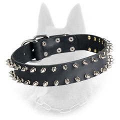 Belgian Malinois Spiked Leather Dog Collar with Two  Lines of Silver Spikes