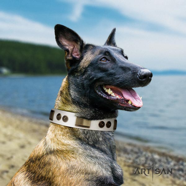 Belgian Malinois fancy walking full grain genuine leather collar for your lovely pet