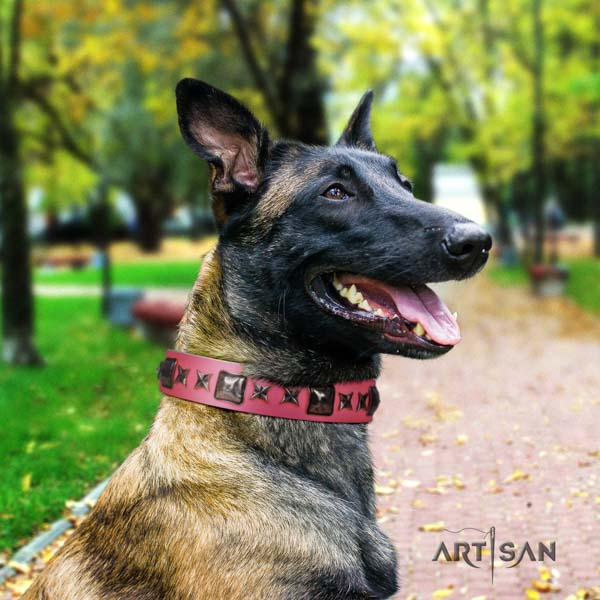 Belgian Malinois fancy walking natural leather collar for your impressive canine