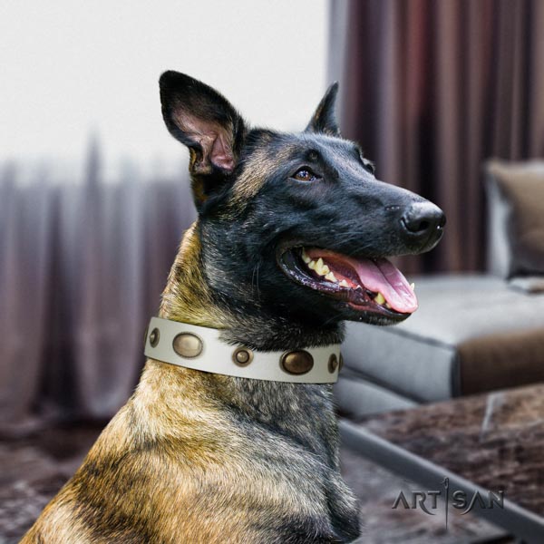 Belgian Malinois stylish walking leather collar for your beautiful four-legged friend
