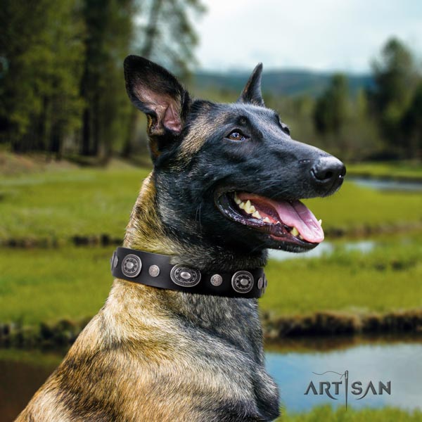 Belgian Malinois handy use full grain leather collar for your handsome doggie