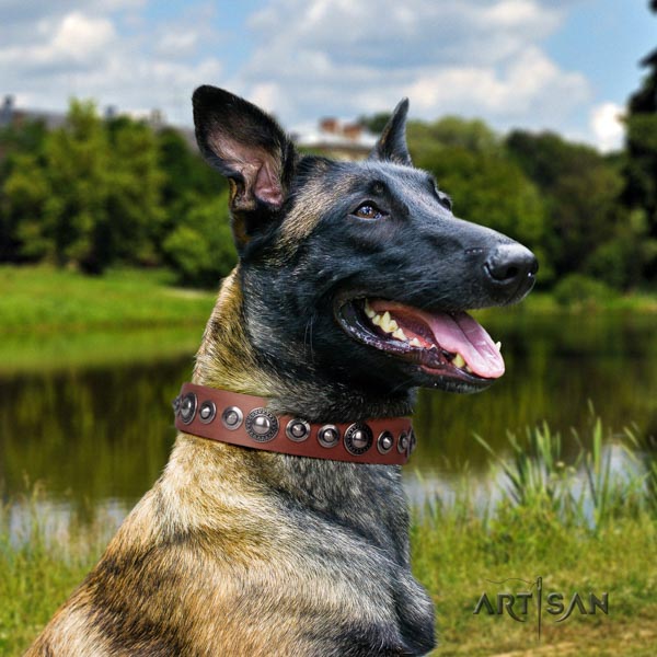 Belgian Malinois stylish walking leather collar for your impressive pet