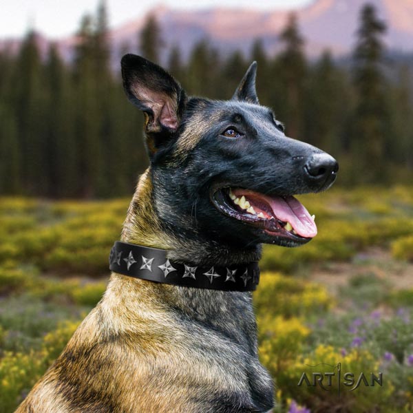 Belgian Malinois daily use full grain natural leather collar for your impressive canine