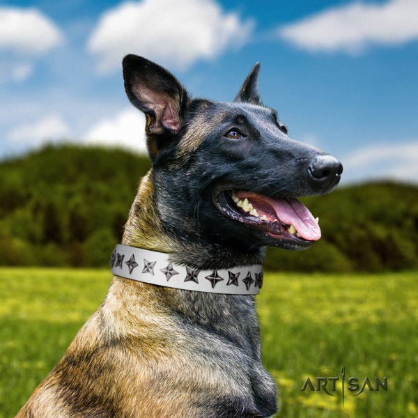Belgian Malinois easy wearing full grain genuine leather collar for your beautiful doggie
