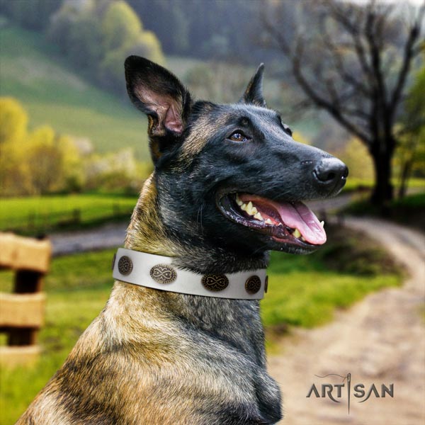 Belgian Malinois stylish walking full grain natural leather collar for your impressive doggie