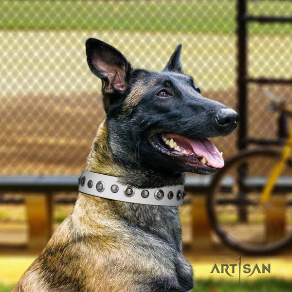 Belgian Malinois stylish walking leather collar for your lovely four-legged friend