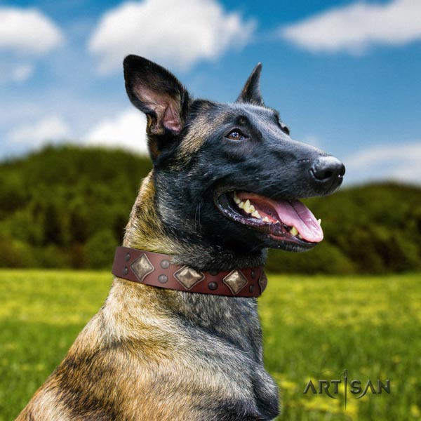 Belgian Malinois basic training natural leather collar for your lovely canine